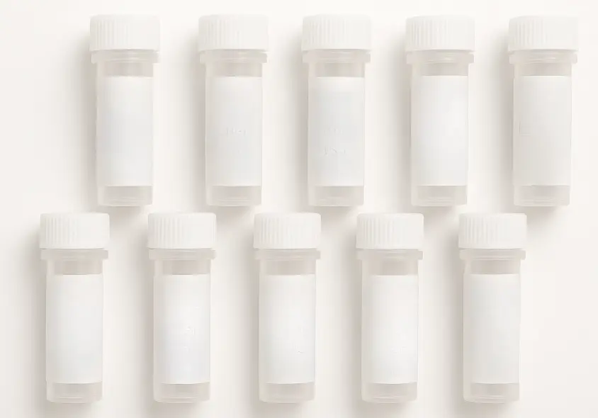 GAA 293T Cell Transient Overexpression Lysate(Denatured)