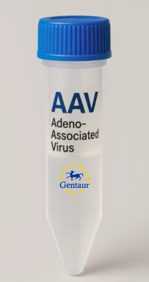 Bcl2a1c AAV Vector (Mouse) (CMV)