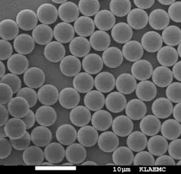 Blue Fluorescent SiO2 Magnetic Particles, 60 um-SA